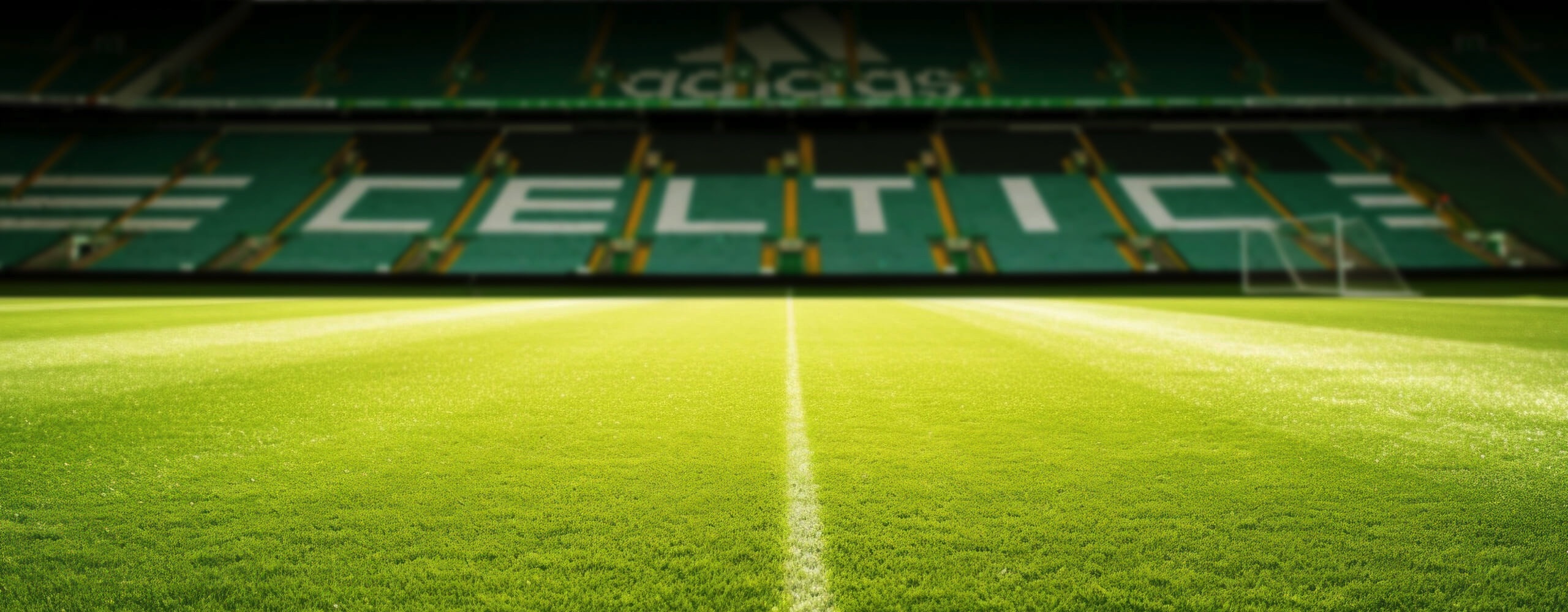 In-ground units installed in CELTIC PARK